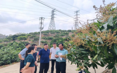 对生账、投入品办理等进行详尽核验